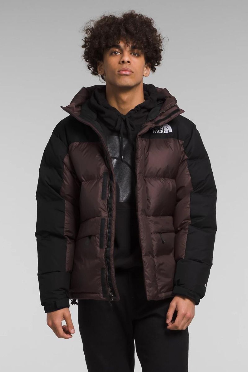 The hot North Face Down Parka